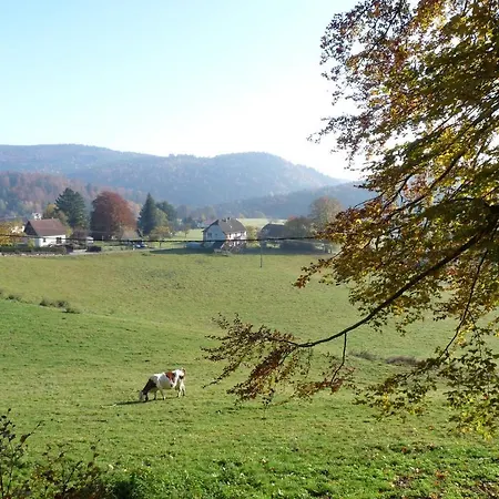 Locations Dupertuis Alsace Apartment Le Hohwald Room photo