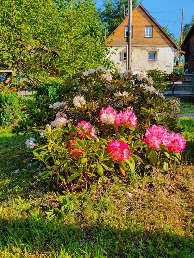 Locations Dupertuis Alsace Apartment