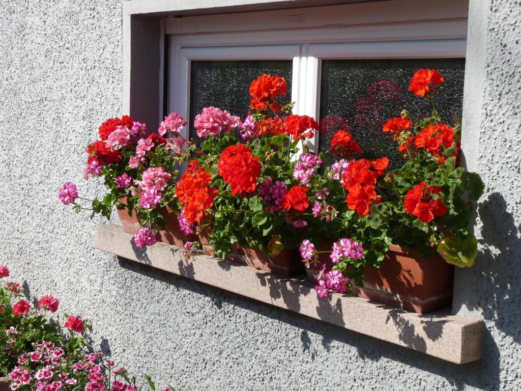 Locations Dupertuis Alsace