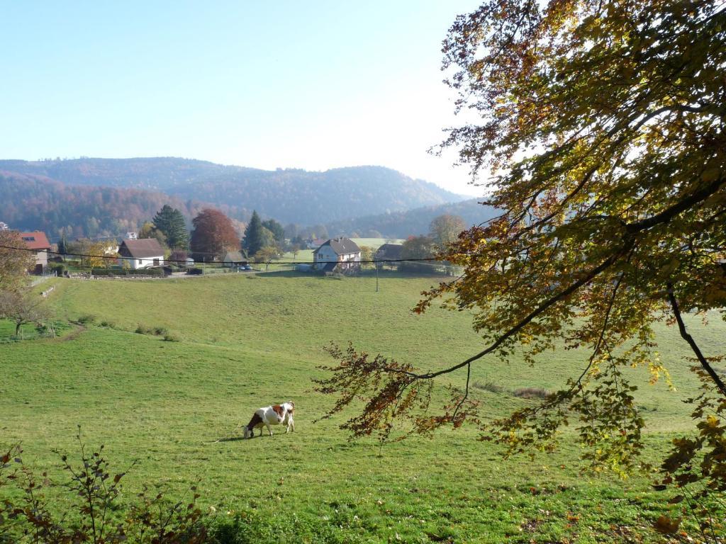 Locations Dupertuis Alsace *