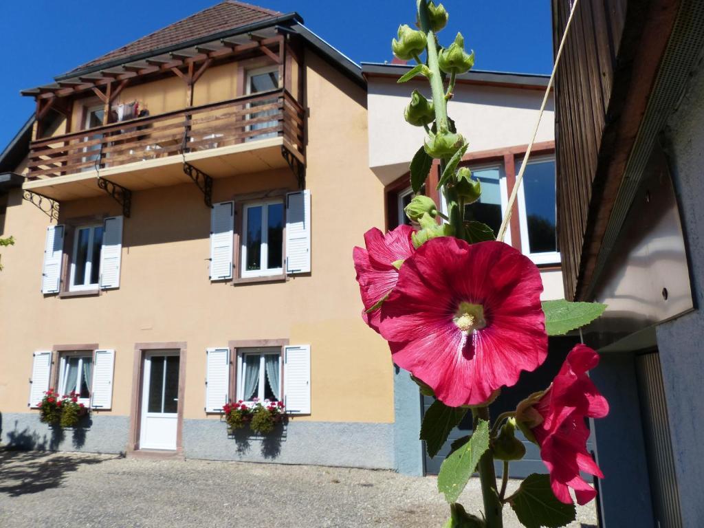 Locations Dupertuis Alsace Apartment